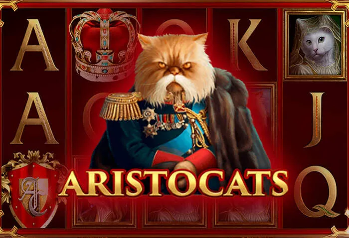 Exklusiver Tikitaka Casino App Ohne Einzahlung Herunterladen verfügbar.