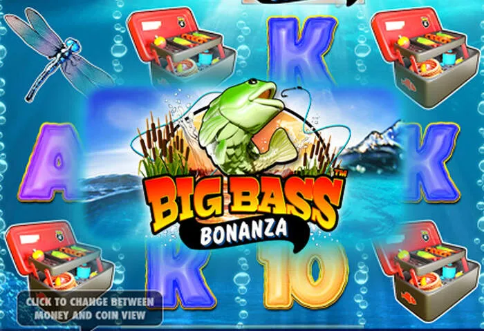 Responsive Customer Support and User Experience at Tikitaka Casino.
